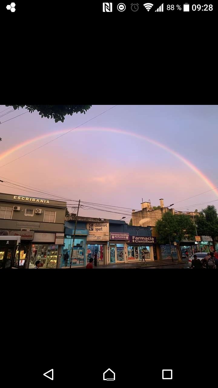 Vigo y Parrotta